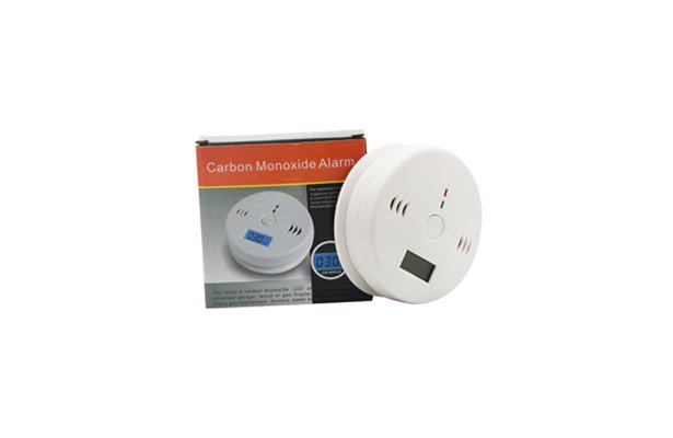 RA600-602 Carbon Monoxide Alarm